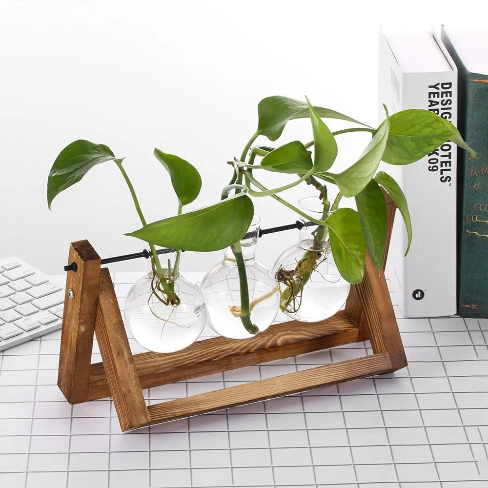 Glass Terrarium Vase with Wood Tray