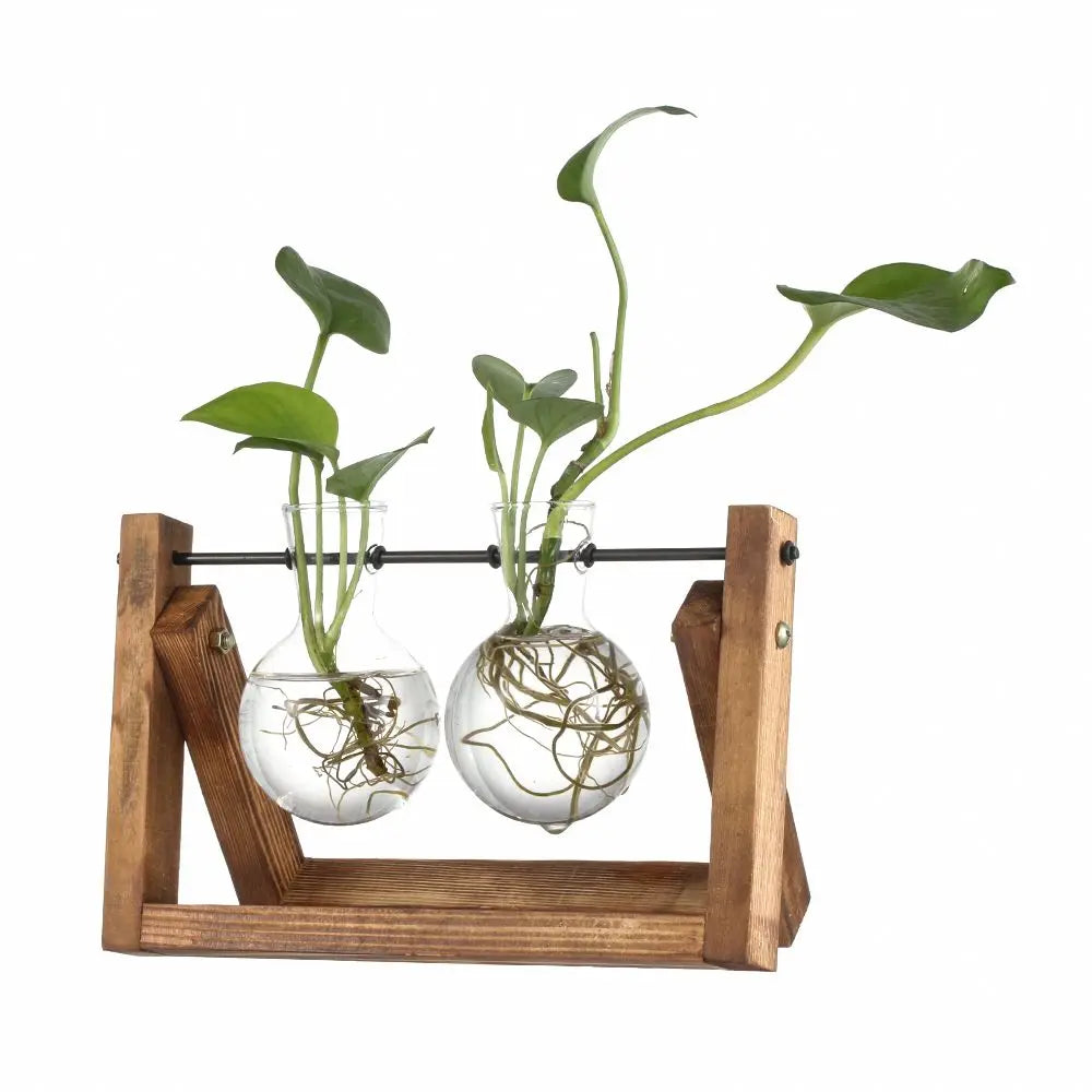 Glass Terrarium Vase with Wood Tray
